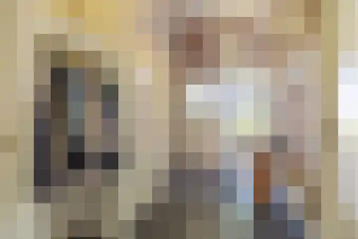Oude Postbaan 11 Rijsbergen thumbnail 9