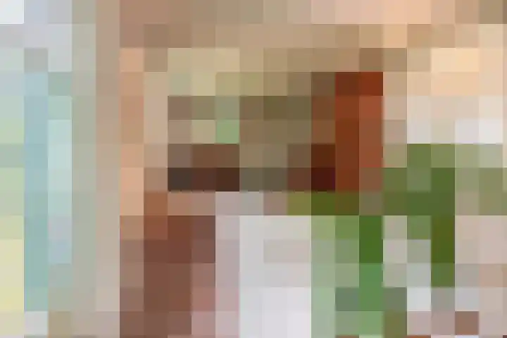 Oude Postelseweg 15 Eersel thumbnail 12