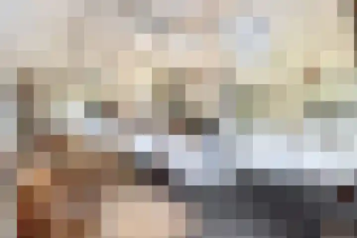 Oude Postelseweg 15 Eersel thumbnail 14