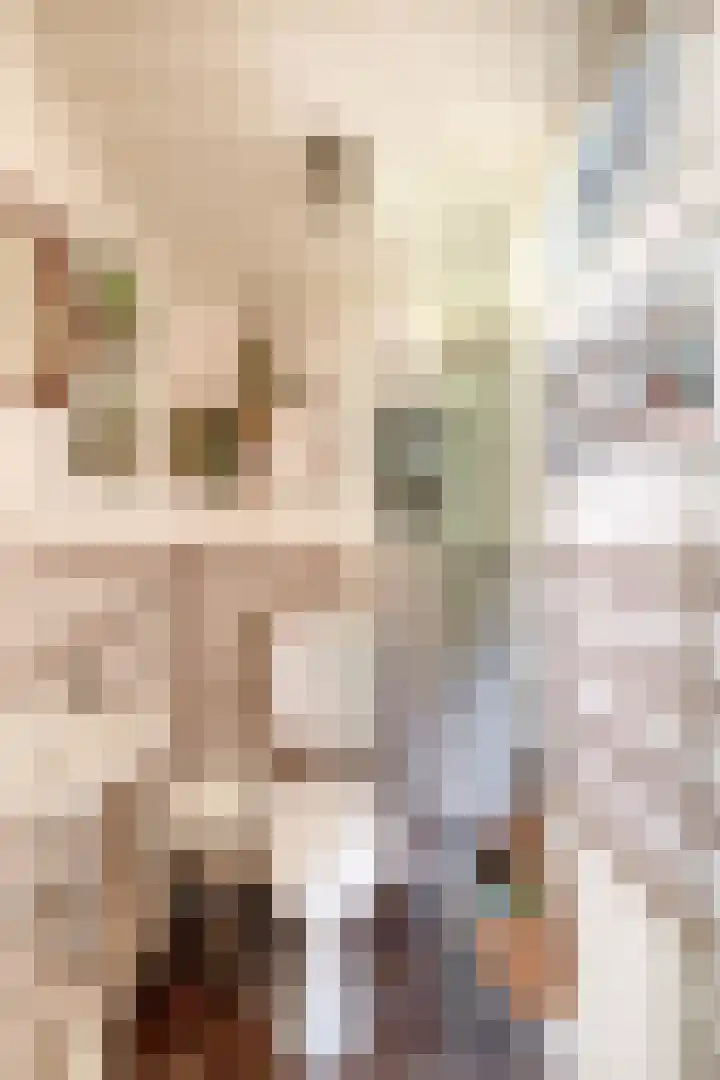 Oude Postelseweg 15 Eersel thumbnail 18