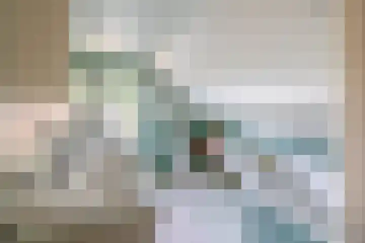 Oude Postelseweg 15 Eersel thumbnail 26