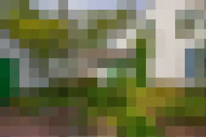 Oude Postelseweg 15 Eersel thumbnail 30
