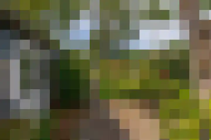 Oude Postelseweg 15 Eersel thumbnail 31