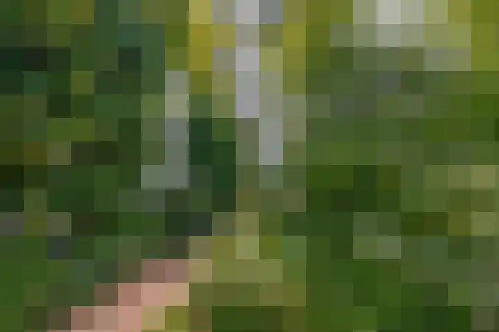 Oude Postelseweg 15 Eersel thumbnail 33