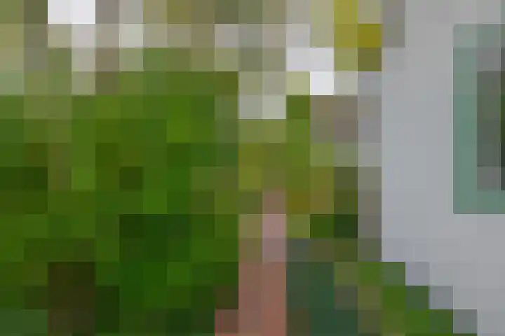 Oude Postelseweg 15 Eersel thumbnail 34