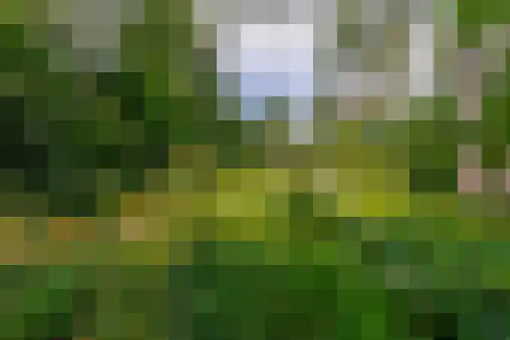 Oude Postelseweg 15 Eersel thumbnail 35