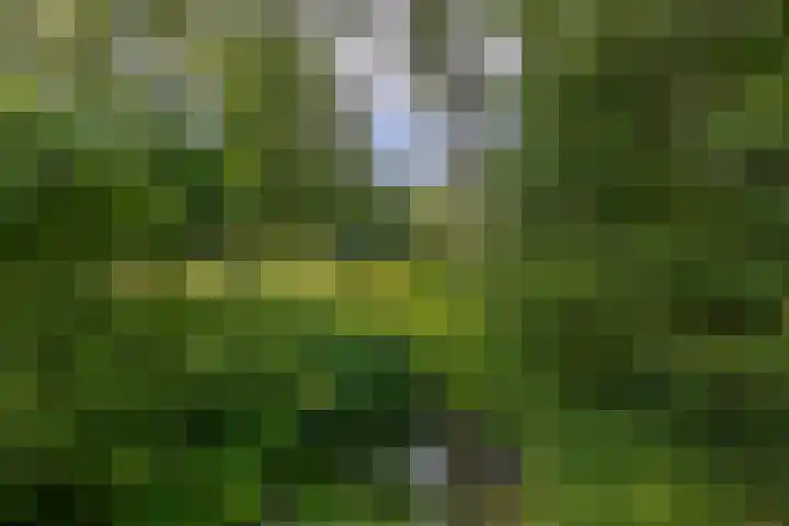 Oude Postelseweg 15 Eersel thumbnail 36