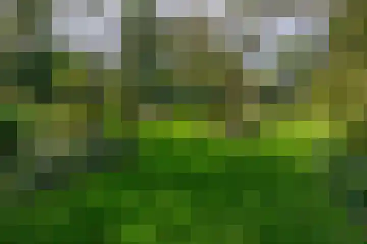 Oude Postelseweg 15 Eersel thumbnail 37