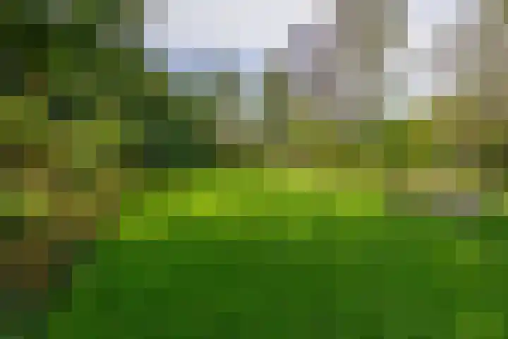 Oude Postelseweg 15 Eersel thumbnail 38