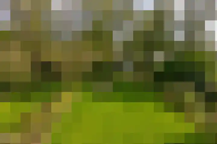 Oude Postelseweg 15 Eersel thumbnail 39