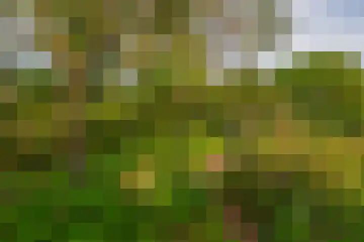 Oude Postelseweg 15 Eersel thumbnail 40