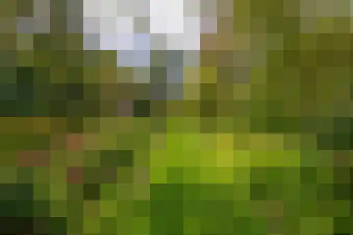Oude Postelseweg 15 Eersel thumbnail 41