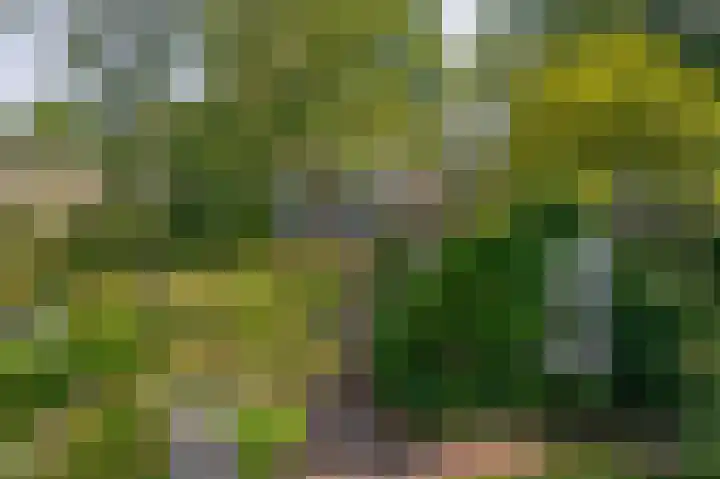 Oude Postelseweg 15 Eersel thumbnail 43