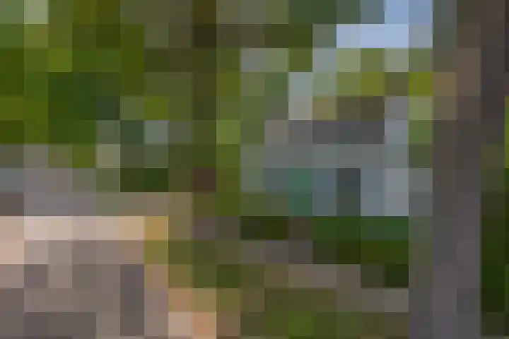 Oude Postelseweg 15 Eersel thumbnail 45