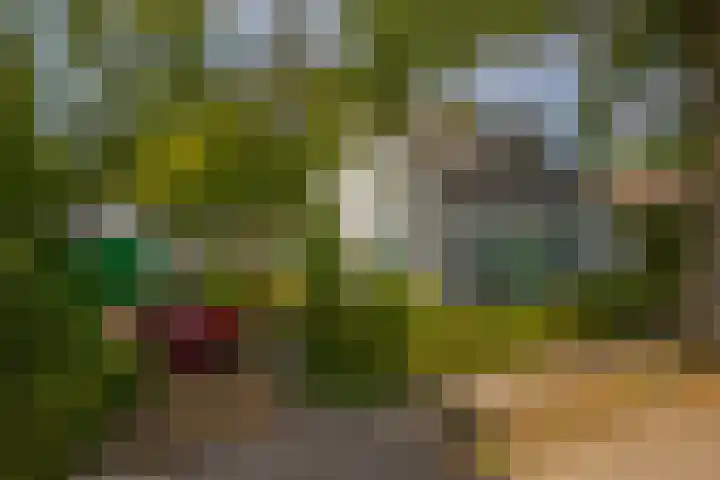 Oude Postelseweg 15 Eersel thumbnail 46