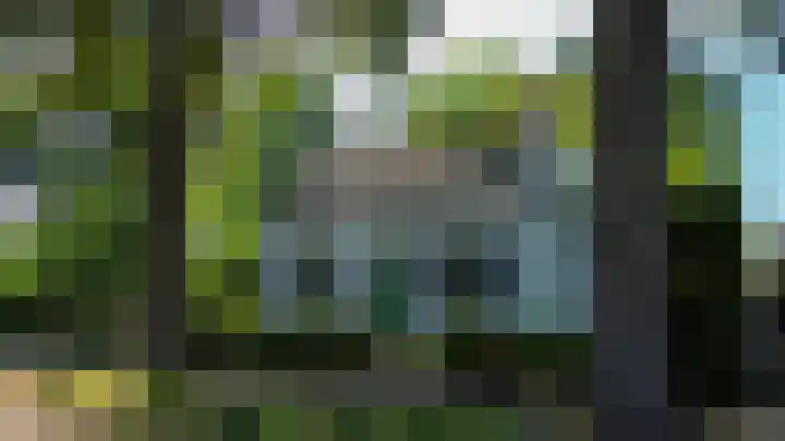Oude Postelseweg 15 Eersel thumbnail 47