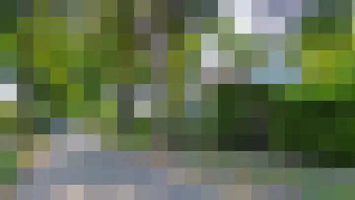 Oude Postelseweg 15 Eersel thumbnail 48