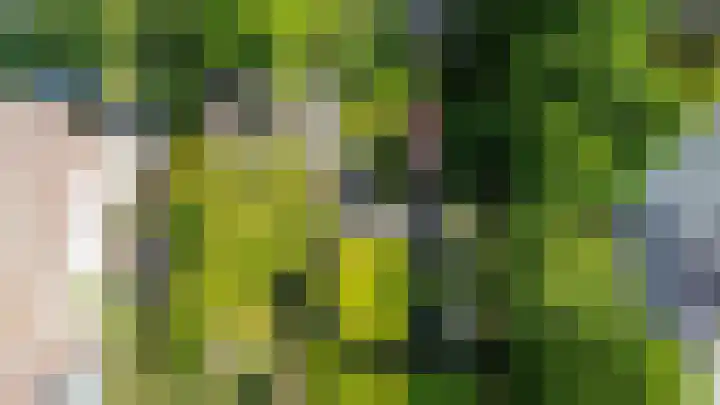 Oude Postelseweg 15 Eersel thumbnail 50