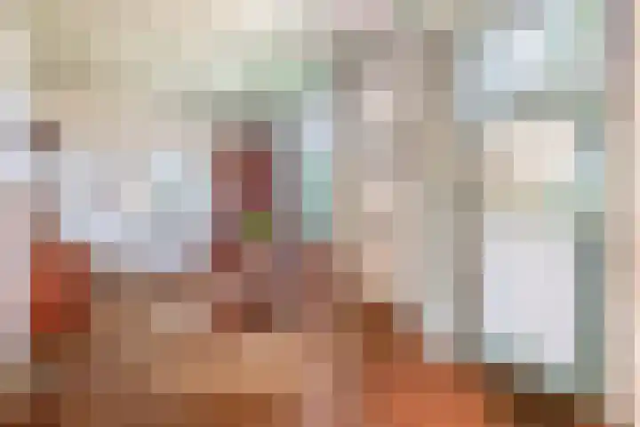 Oude Postelseweg 15 Eersel thumbnail 6