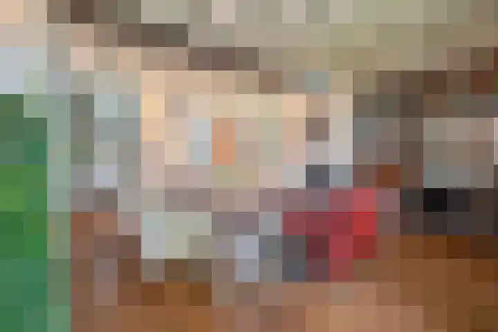 Oude Postelseweg 15 Eersel thumbnail 8