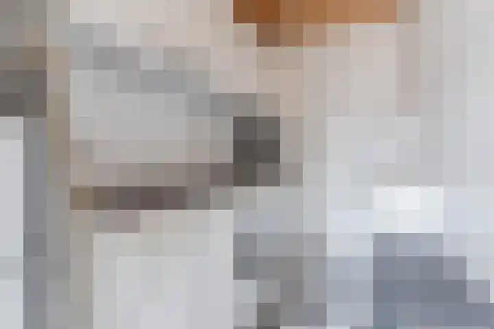 Oude Postelseweg 16 Eersel thumbnail 21