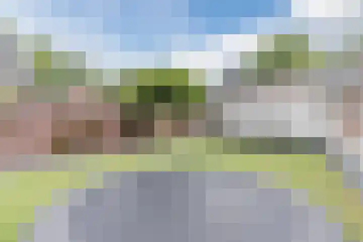 Oude Postelseweg 16 Eersel thumbnail 37