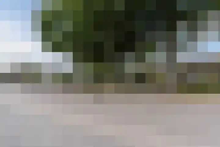 Oude Postelseweg 16 Eersel thumbnail 45