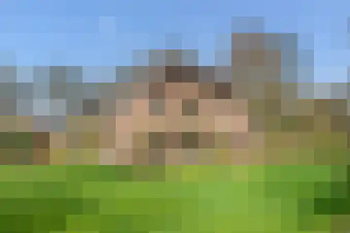 Oude Postelseweg 28 Eersel