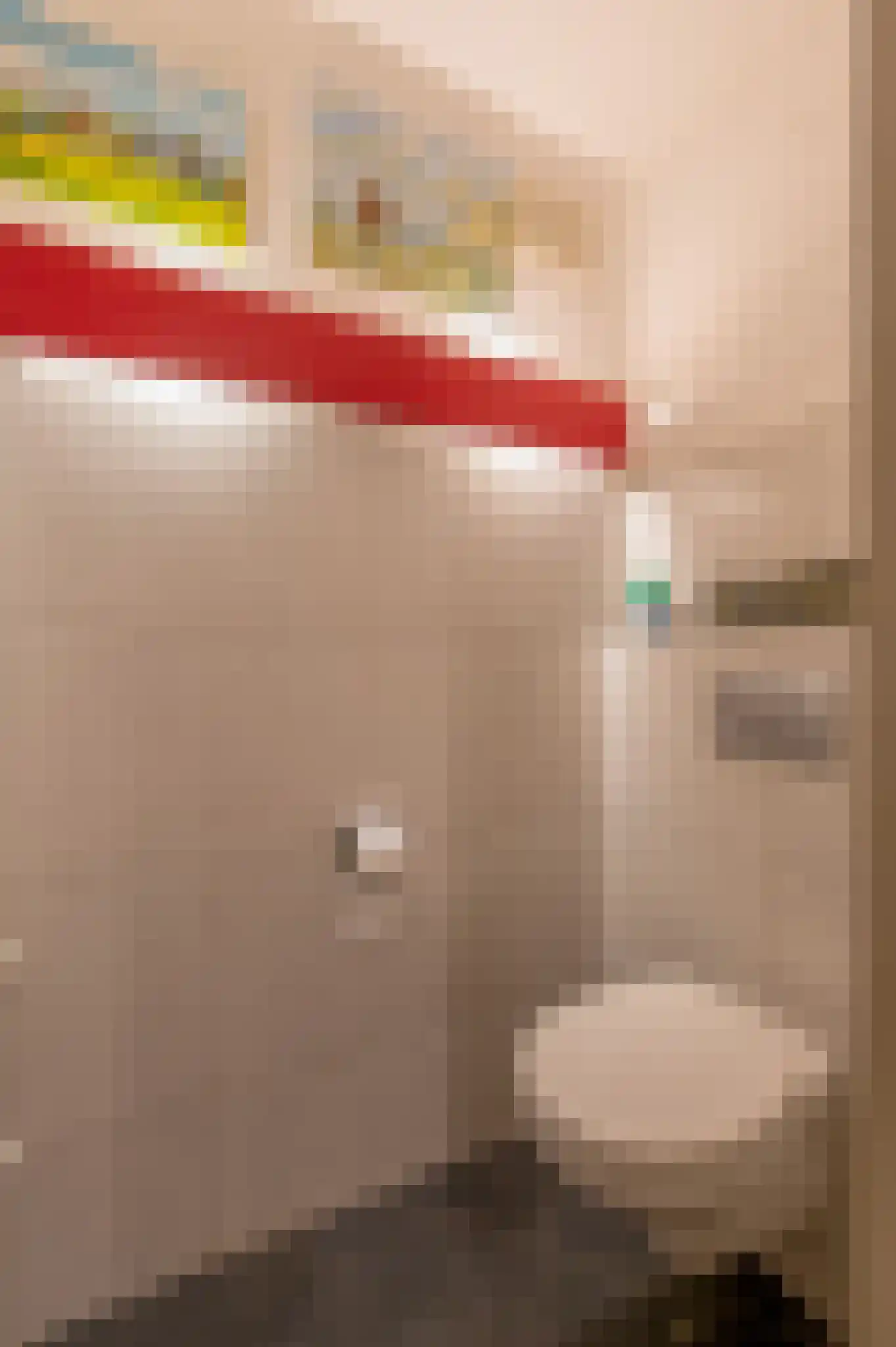 Oude Postelseweg 28 Eersel thumbnail 13