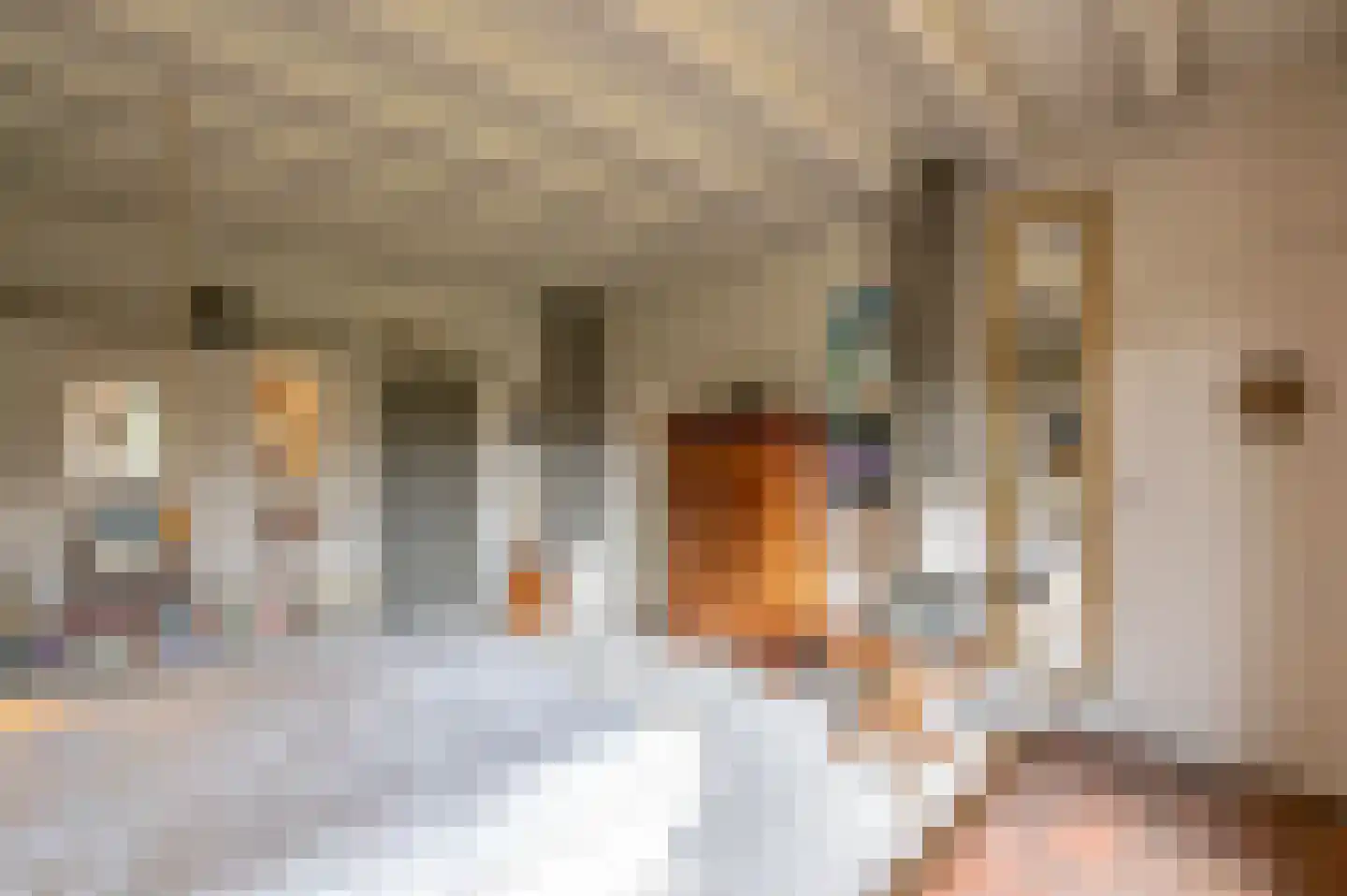 Oude Postelseweg 28 Eersel thumbnail 17