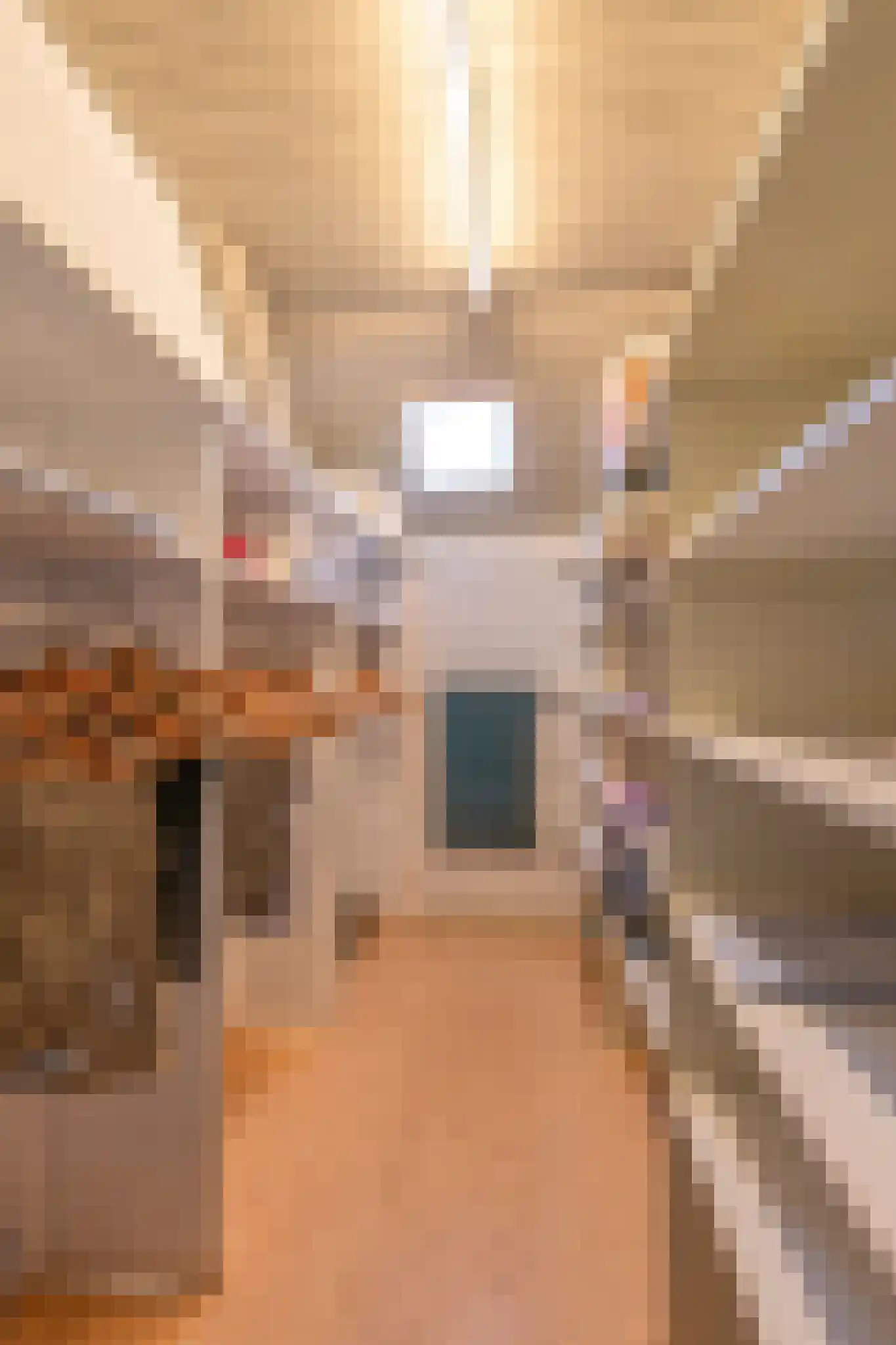 Oude Postelseweg 28 Eersel thumbnail 18