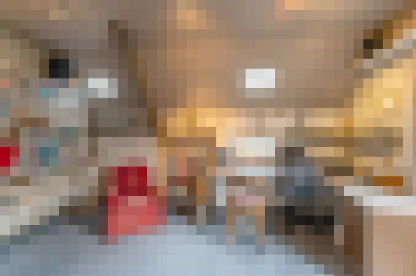 Oude Postelseweg 28 Eersel thumbnail 20