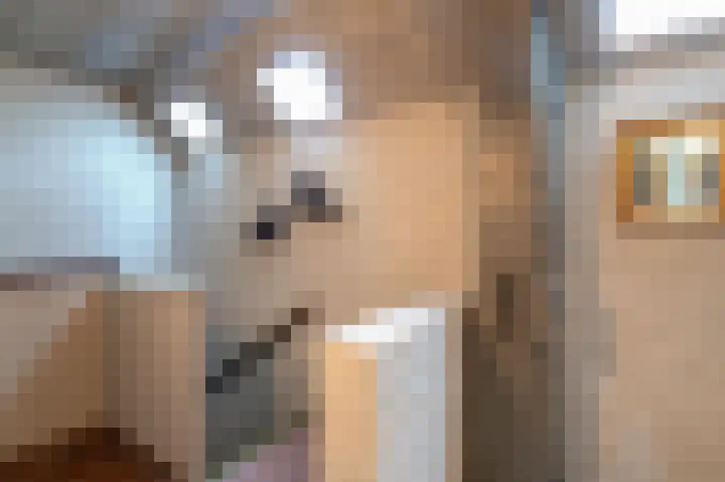Oude Postelseweg 28 Eersel thumbnail 22