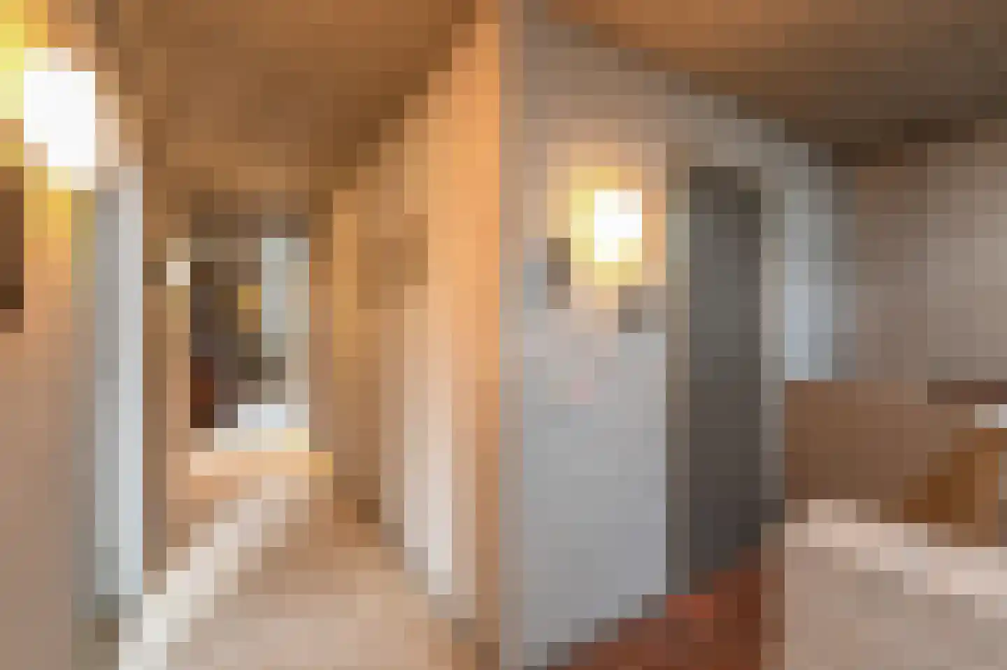 Oude Postelseweg 28 Eersel thumbnail 23