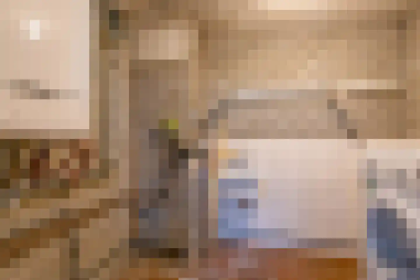 Oude Postelseweg 28 Eersel thumbnail 24