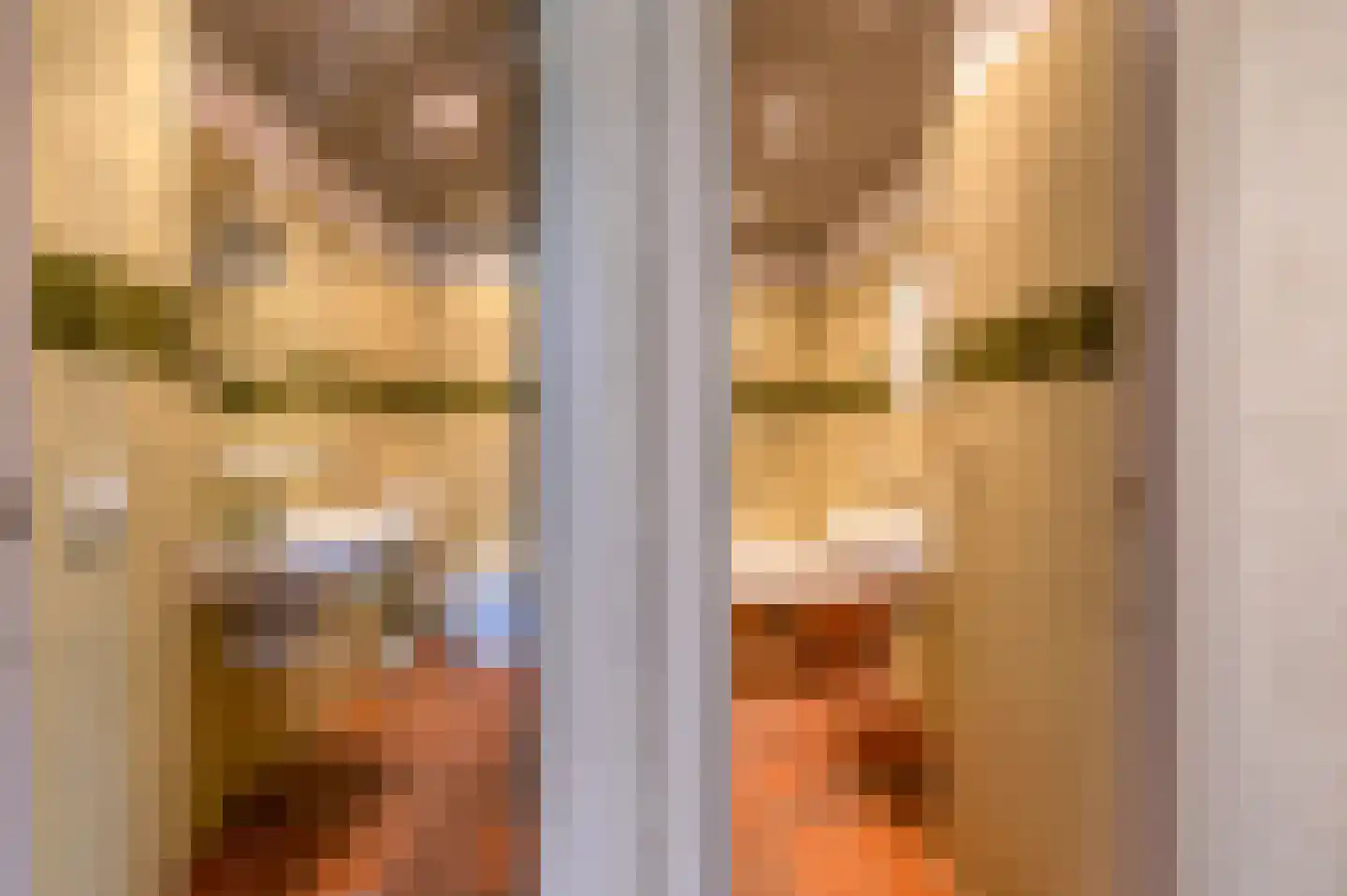 Oude Postelseweg 28 Eersel thumbnail 25