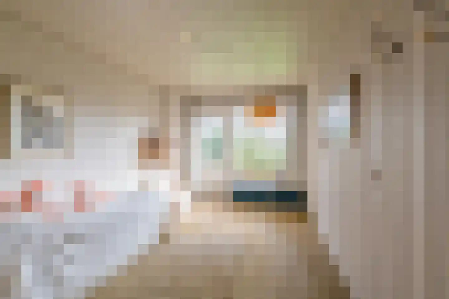 Oude Postelseweg 28 Eersel thumbnail 27