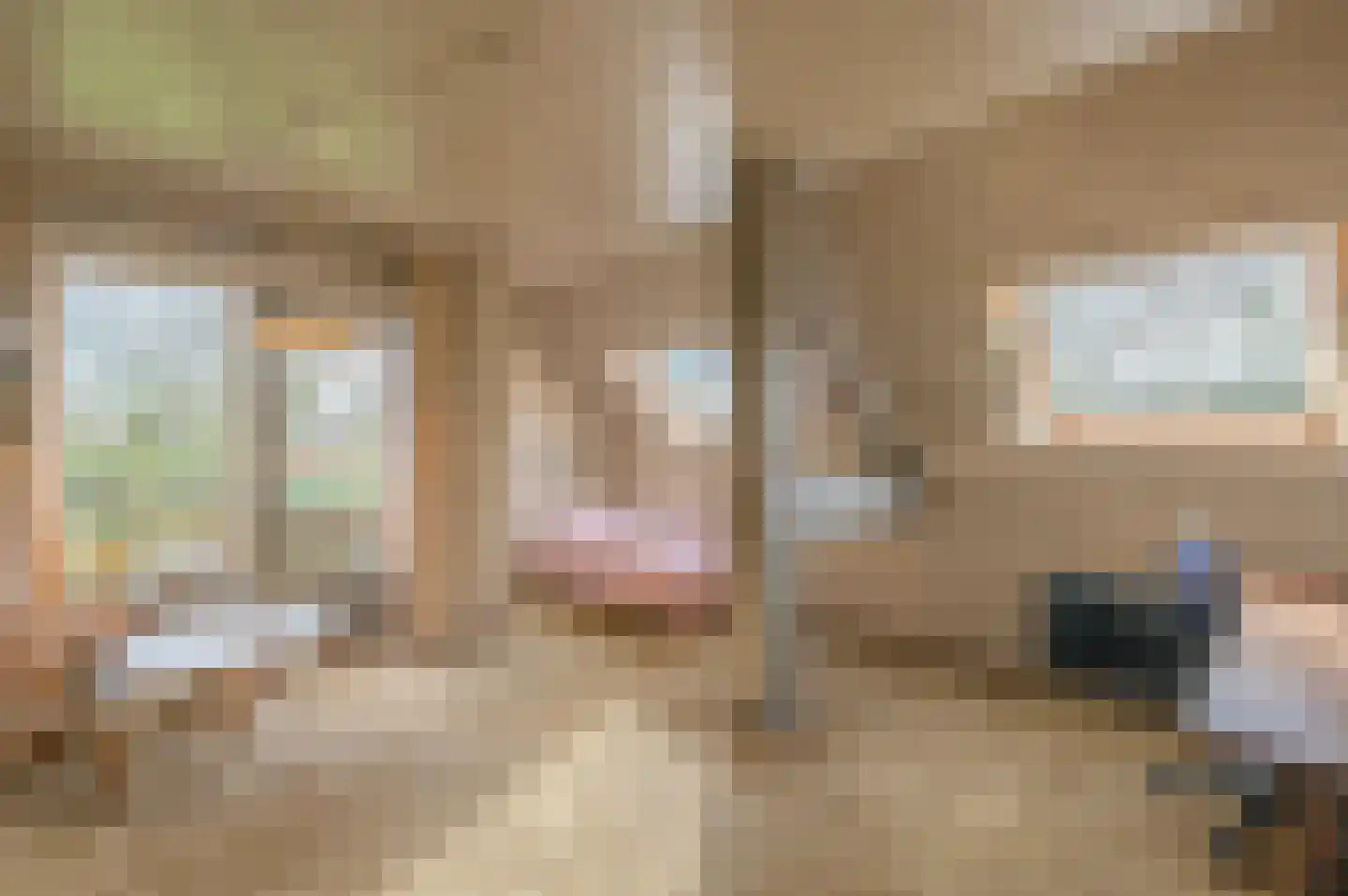 Oude Postelseweg 28 Eersel thumbnail 28