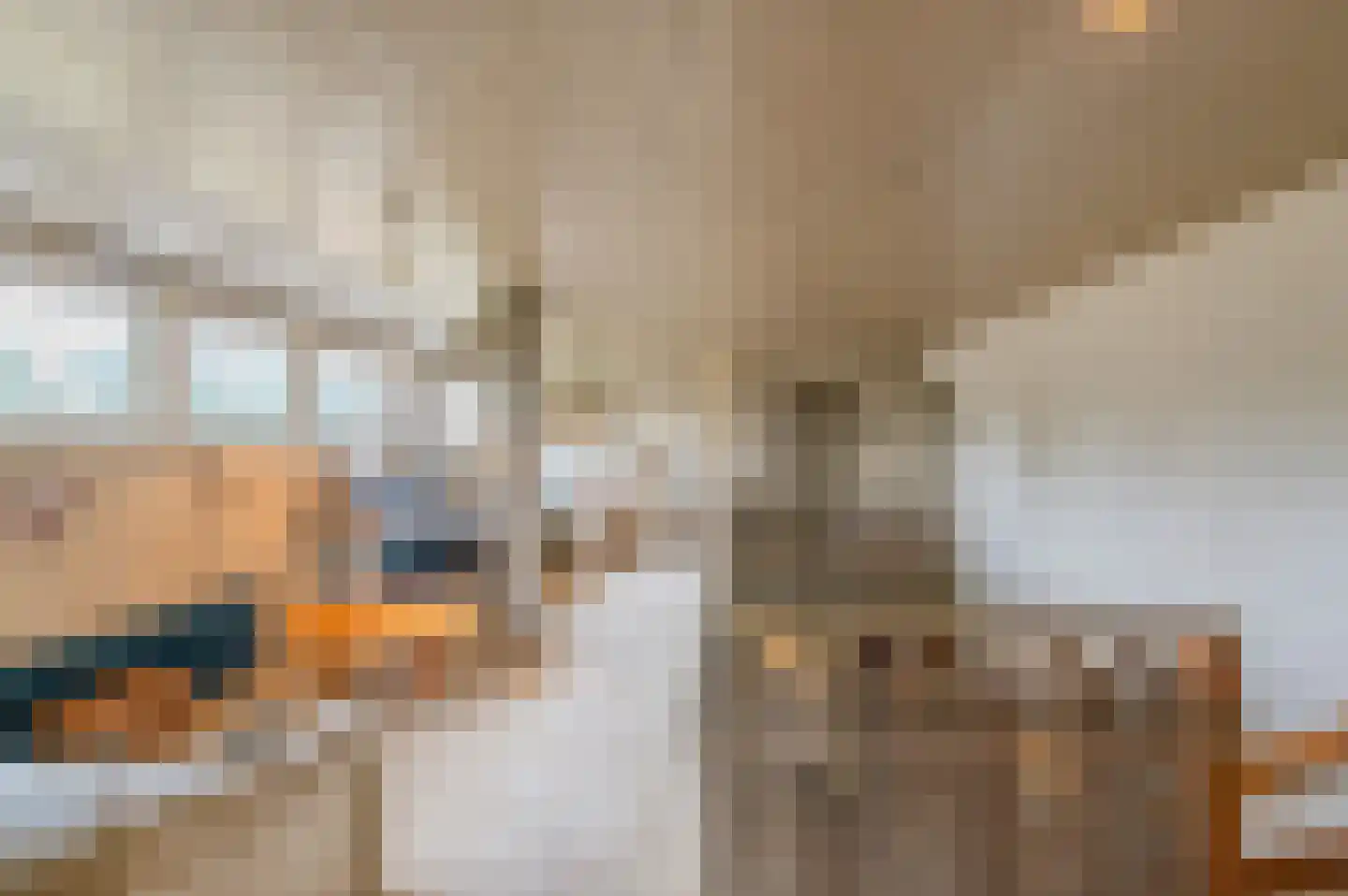 Oude Postelseweg 28 Eersel thumbnail 30