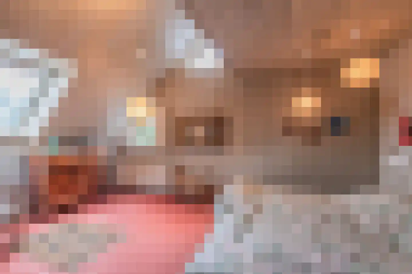 Oude Postelseweg 28 Eersel thumbnail 32