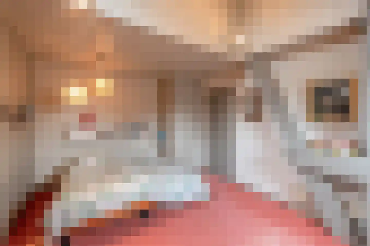Oude Postelseweg 28 Eersel thumbnail 33