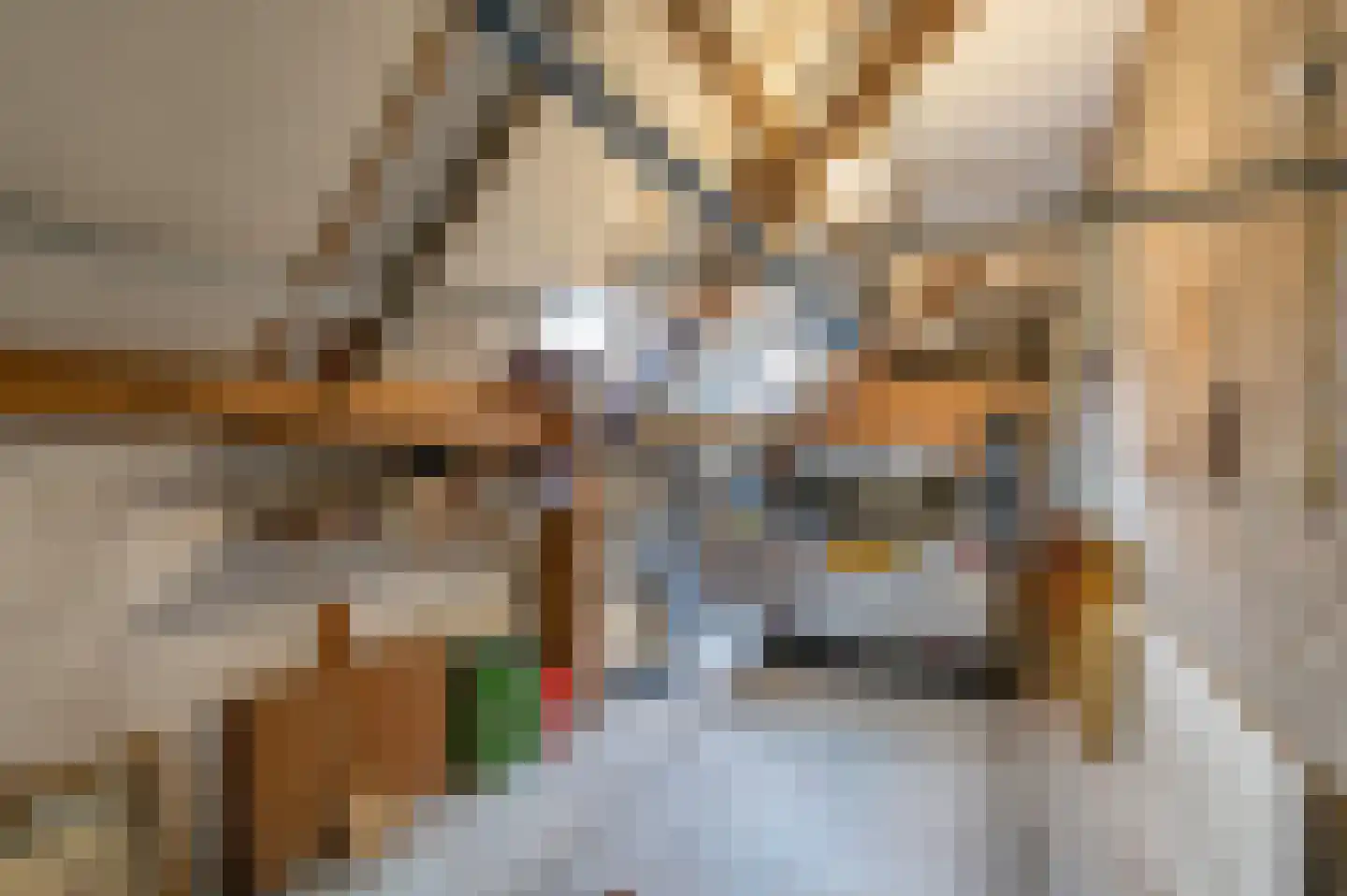 Oude Postelseweg 28 Eersel thumbnail 49