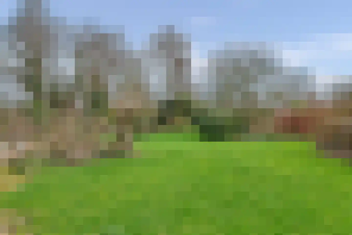 Oude Postelseweg 28 Eersel thumbnail 55