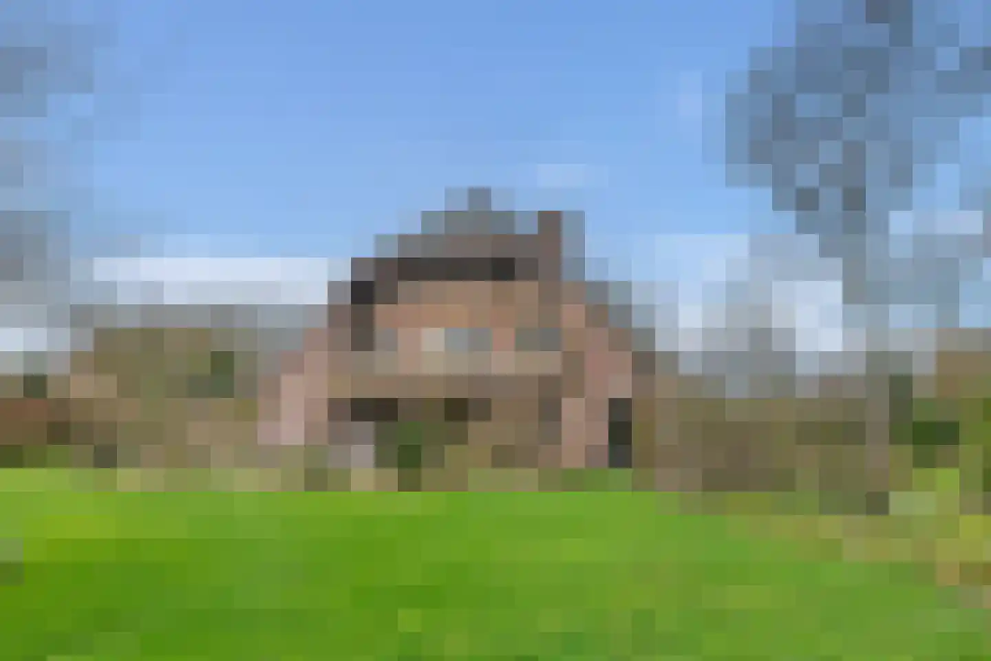 Oude Postelseweg 28 Eersel thumbnail 56