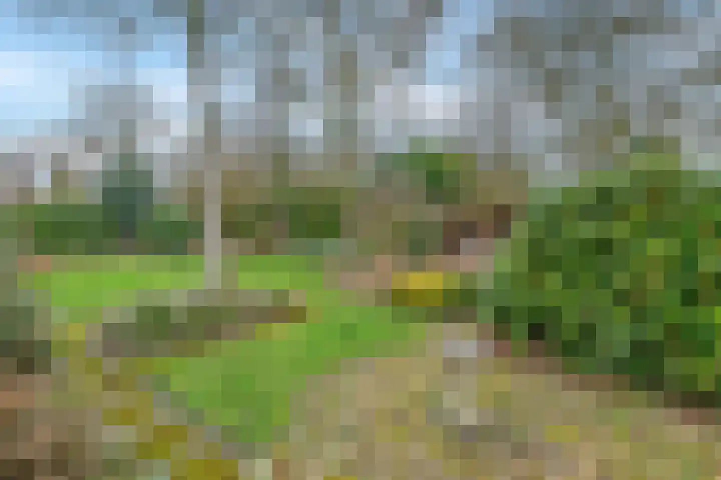 Oude Postelseweg 28 Eersel thumbnail 59