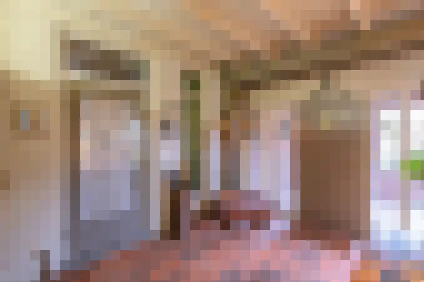 Oude Postelseweg 28 Eersel thumbnail 6