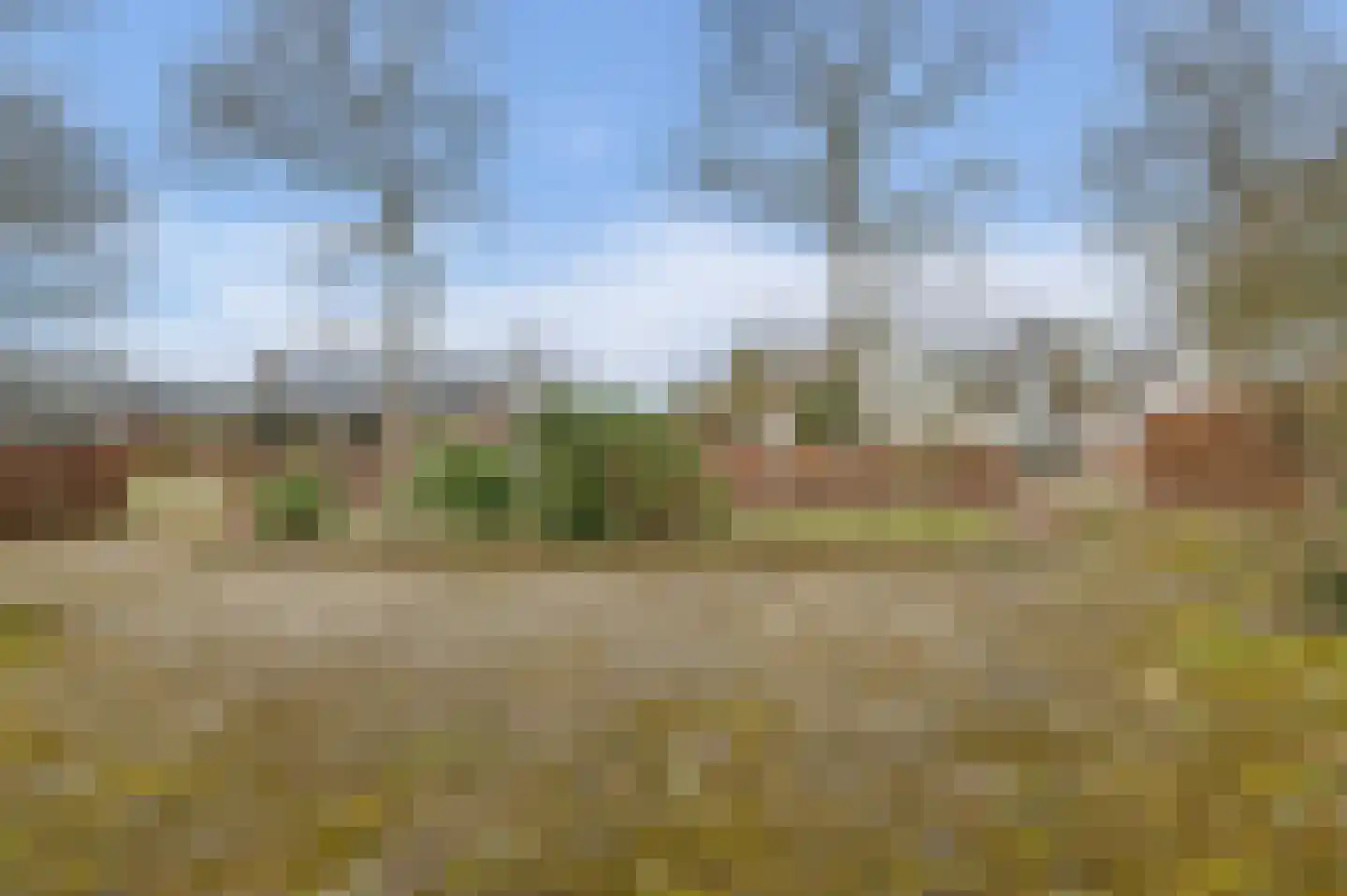 Oude Postelseweg 28 Eersel thumbnail 61