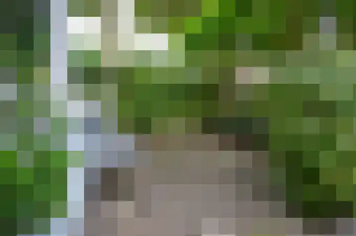 Oude Posthuisstraat 29 Heemstede thumbnail 39