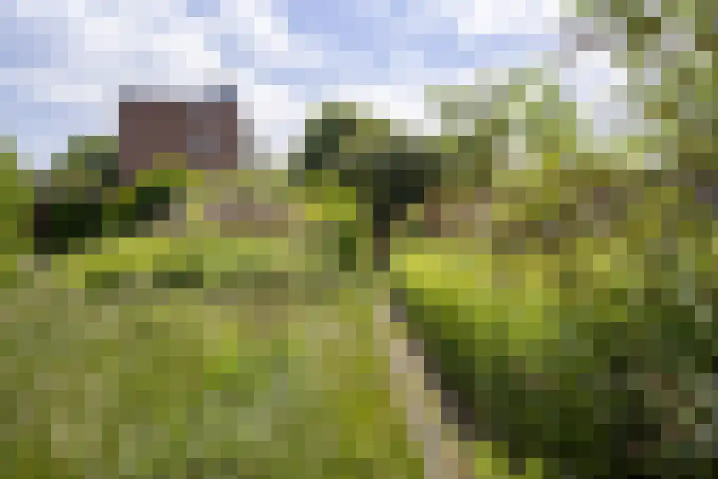 Oude Postweg 146 Hengelo thumbnail 32