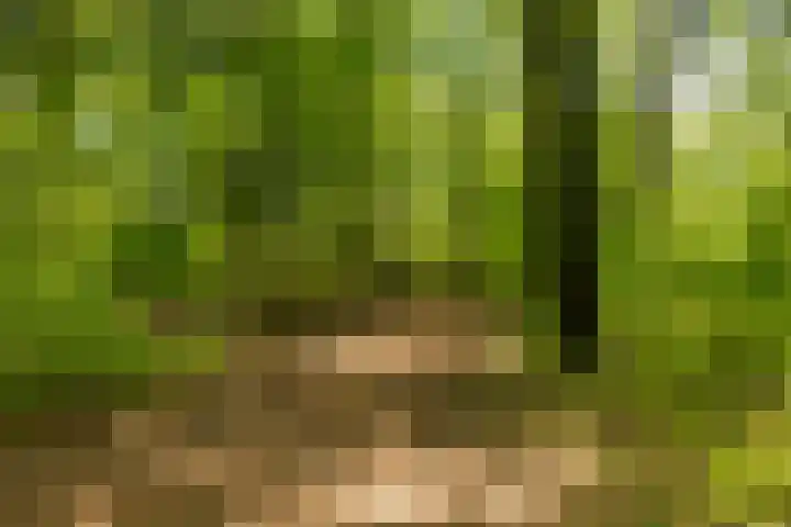 Oude Postweg 168 Austerlitz thumbnail 41